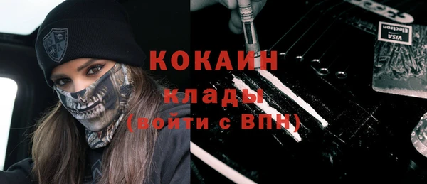 прущие грибы Верея