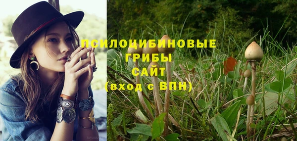соль курить ск Верхний Тагил
