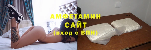 прущие грибы Верея