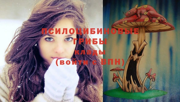 прущие грибы Верея