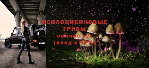 прущие грибы Верея
