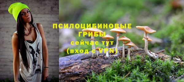 соль курить ск Верхний Тагил