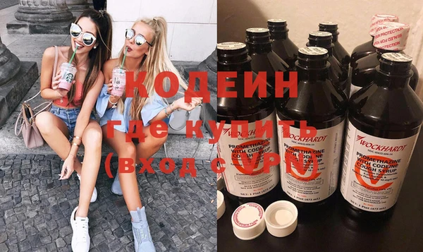 прущие грибы Верея