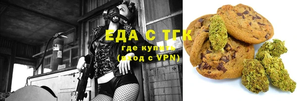 прущие грибы Верея