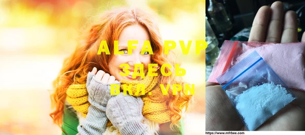 прущие грибы Верея