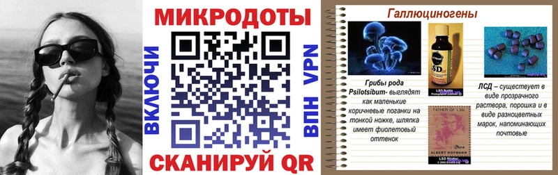 Купить закладки  Вичуга  Галлюциногенные грибы мицелий 